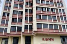 东兴市东兴镇滨湖路11号(金鼎国际花园)6#楼6-3号房屋