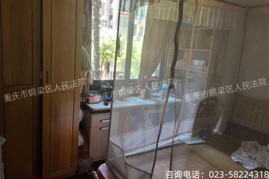 【塔山东街14号小区】| 重庆市铜梁县东城街道办事处塔山东街489号第29幢2-2-3房屋