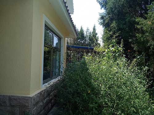 【王府花园别墅】| 北京市昌平区北七家镇王府花园睿智府31号q324幢1-