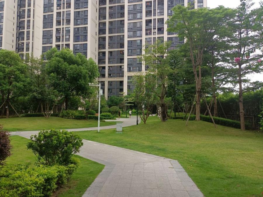 即将开始【实地常春藤别墅】| 广州市黄埔区实地绿藤花园自编c2,c1栋